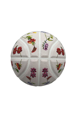 Morpheus Basketball and Stand